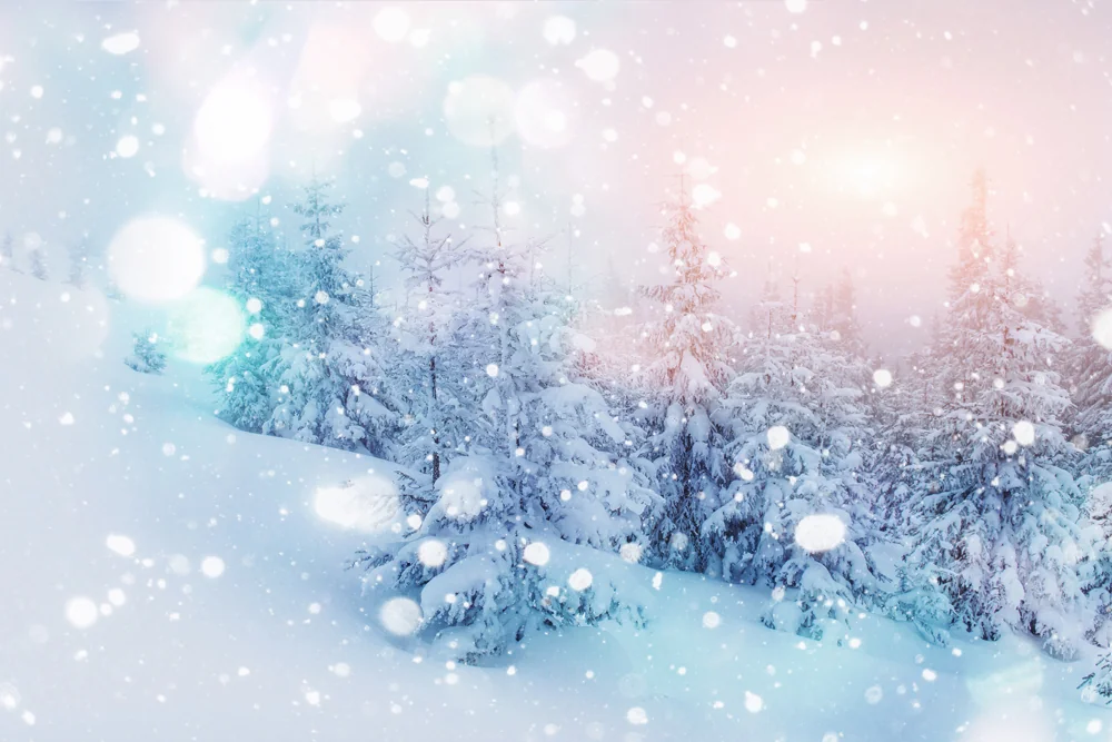 shutterstock_520929466