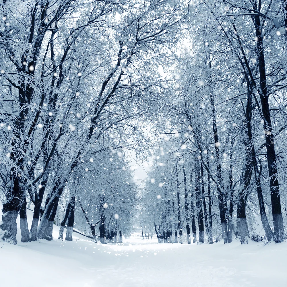 shutterstock_159948056