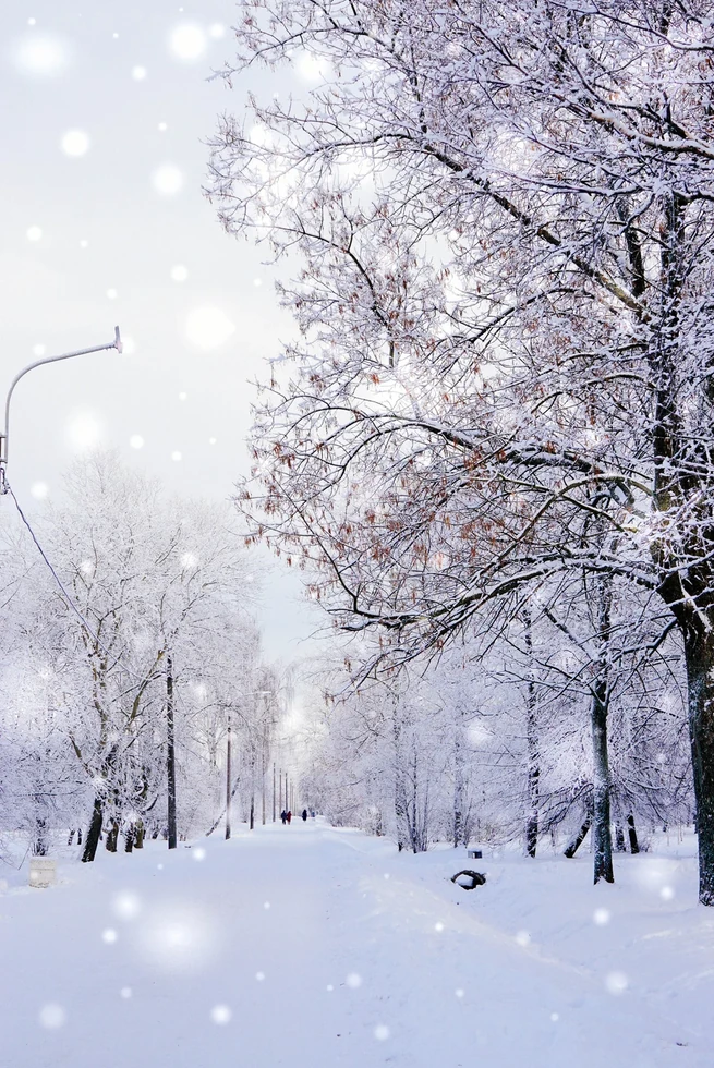 shutterstock_742379248